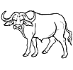 Розмальовки буйволи