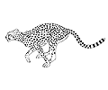 Розмальовки гепарди