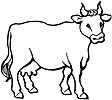 Корови