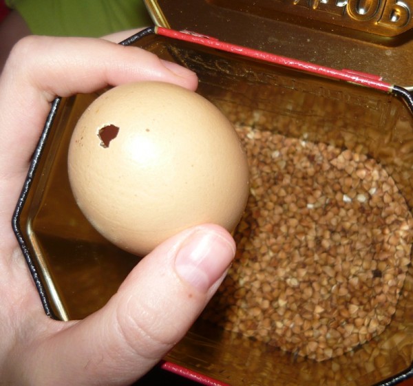 Сувенірна пасхальне яйце