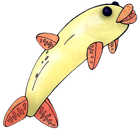 Банановий дельфін