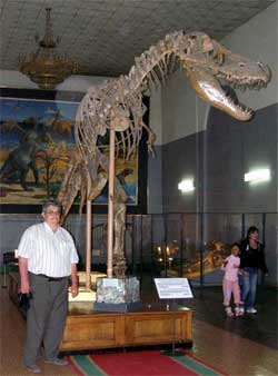 Скелет динозавра в музеї