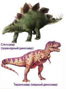 Хижі і травоїдні динозаври