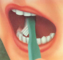 Чищення внутрішньої поверхні зубів