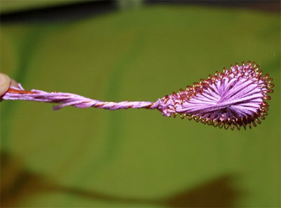 Квіти з дроту і ниток (техніка ганутель)
