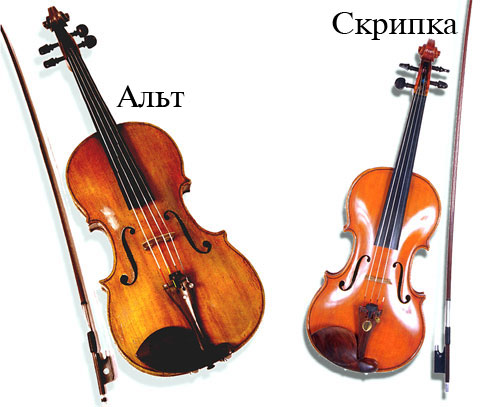 Альт і скрипка