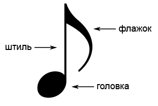Елементи зображення ноти