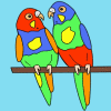 Папуги