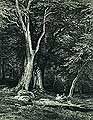 Ліс. 1869