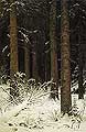 Ялиновий ліс взимку. 1884