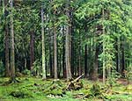 Ліс в Мордвинове. 1891