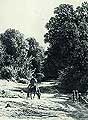 Ліс. 1869