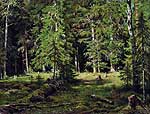 Ліс. 1880-е