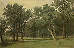 Лісова галявина. 1889