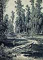 Лісова річка. 1895