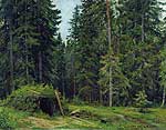 Лісова сторожка. 1892