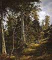 Лісова гущавина. 1867