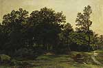 Листяний ліс. 1890-е