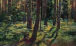 Папороті в лісі. Сіверська. 1883
