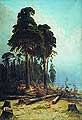 Сосновий ліс. 1883-1894