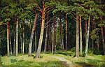 Сосновий ліс. 1885
