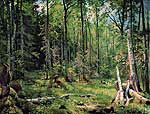 Змішаний ліс (Шмецк поблизу Нарви). 1888