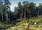 Сосновий бір. Щогловий ліс в Вятської губернії. 1872