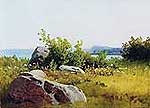 Мещерський Арсеній Іванович (1834-1902). Місток через річку. Літні трави. 1890-е