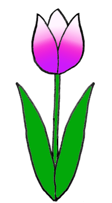 Малюємо тюльпан