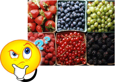 Що таке ягода?